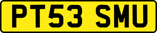 PT53SMU