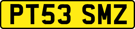 PT53SMZ