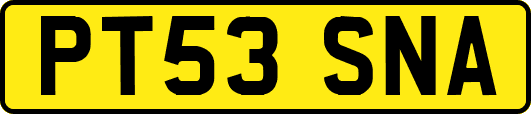 PT53SNA