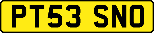 PT53SNO