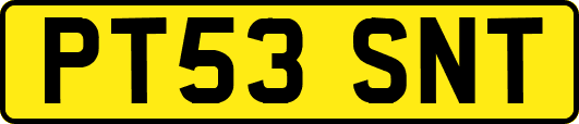 PT53SNT