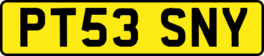 PT53SNY