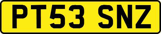 PT53SNZ