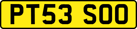 PT53SOO