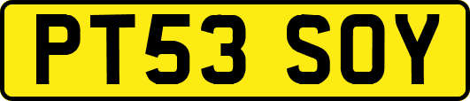 PT53SOY