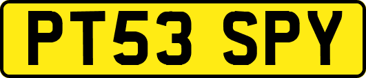 PT53SPY