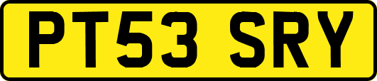 PT53SRY