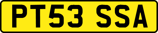 PT53SSA