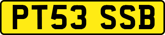 PT53SSB