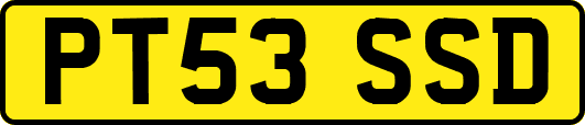 PT53SSD