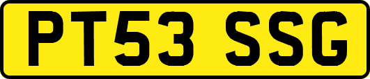 PT53SSG