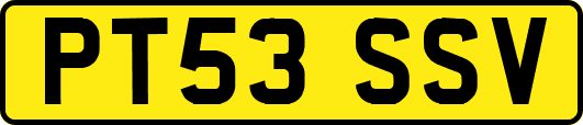 PT53SSV