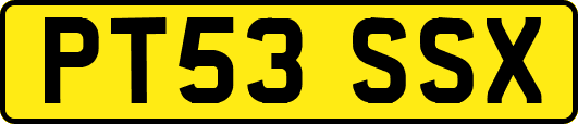 PT53SSX