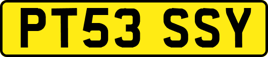 PT53SSY