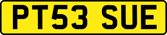 PT53SUE