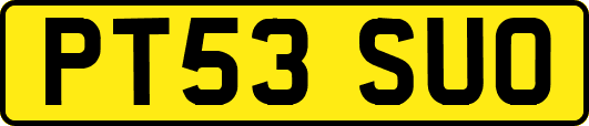 PT53SUO
