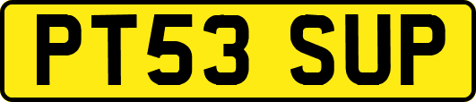 PT53SUP