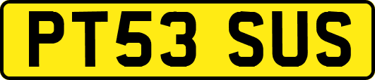 PT53SUS