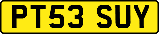 PT53SUY
