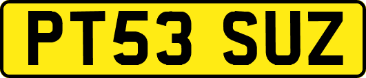 PT53SUZ