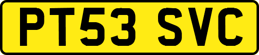 PT53SVC