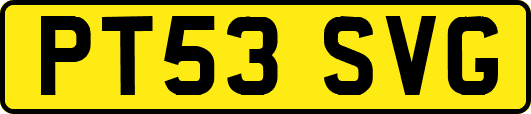 PT53SVG