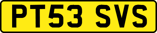 PT53SVS