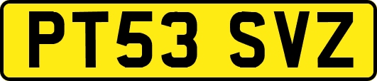 PT53SVZ