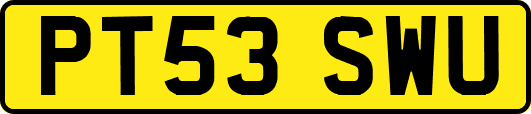 PT53SWU
