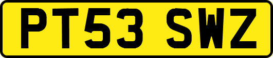 PT53SWZ
