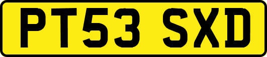 PT53SXD