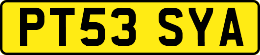 PT53SYA