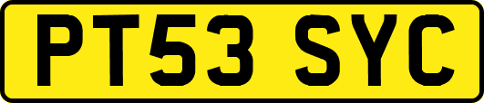 PT53SYC
