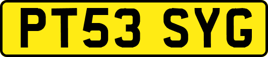 PT53SYG