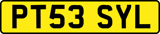 PT53SYL