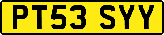 PT53SYY