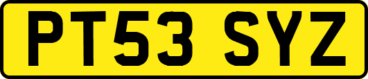 PT53SYZ