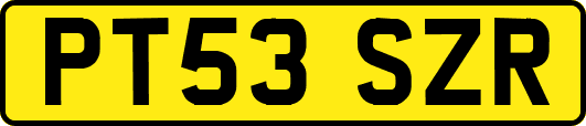 PT53SZR