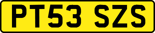 PT53SZS