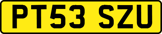 PT53SZU