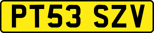 PT53SZV