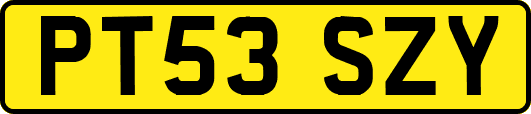 PT53SZY