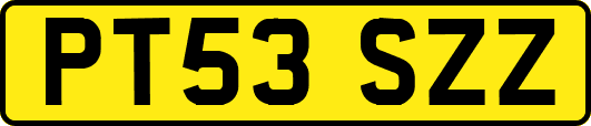 PT53SZZ