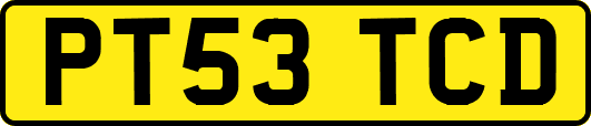 PT53TCD