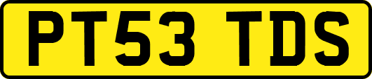 PT53TDS