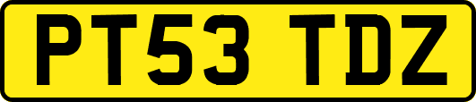 PT53TDZ