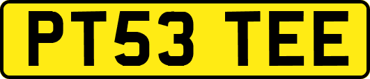 PT53TEE