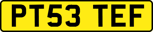 PT53TEF
