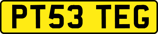 PT53TEG