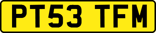 PT53TFM